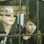 Vamps - List pictures