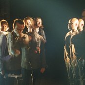 Fool's Gold - List pictures