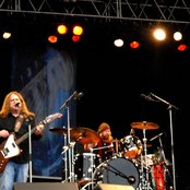 Gov't Mule - List pictures