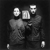 Lamb - List pictures