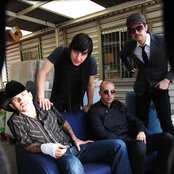 Kinky - List pictures