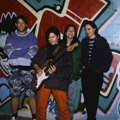 Breeders - List pictures