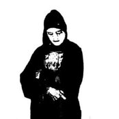 Forest - List pictures