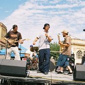 Borialis - List pictures