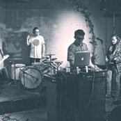 Rat & Co - List pictures