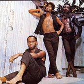 The Gaylads - List pictures