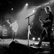 Doves - List pictures