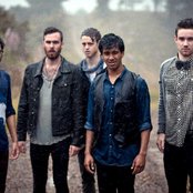 Young Lyre - List pictures