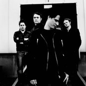 Zornik - List pictures