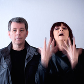Carter Tutti - List pictures