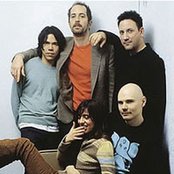 Zwan - List pictures