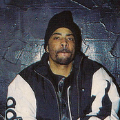 The D.o.c. - List pictures