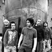 Forty Foot Echo - List pictures