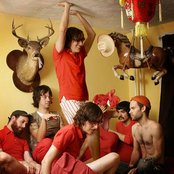 Man Man - List pictures