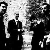 Pansy Division - List pictures