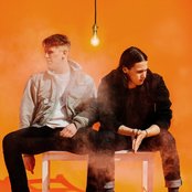 Jungle - List pictures