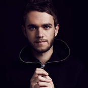 Zedd - List pictures