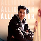 Alligatoah - List pictures