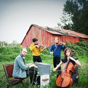 Horse Feathers - List pictures