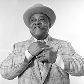 Roosevelt Sykes - List pictures