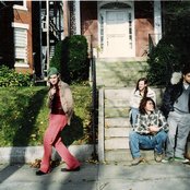 Evergreen - List pictures