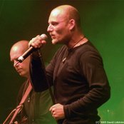 Nordman - List pictures