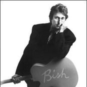 Stephen Bishop - List pictures