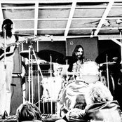 Krokodil - List pictures