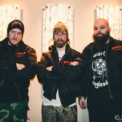 Raubtier - List pictures