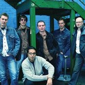 Down To The Bone - List pictures