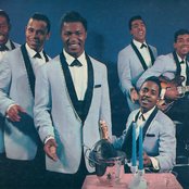 The Flamingos - List pictures
