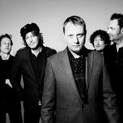 Weeping Willows - List pictures