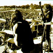 Gnidrolog - List pictures