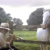 Robert Wyatt - List pictures