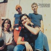 Elastica - List pictures