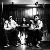 Tortoise - List pictures