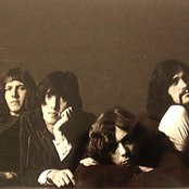 Aardvark - List pictures