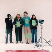 Guillemots - List pictures