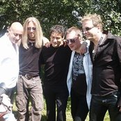 Praying Mantis - List pictures