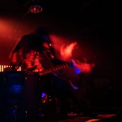 Crossbreed - List pictures