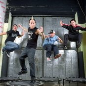 Mest - List pictures