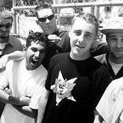 Mad Caddies - List pictures